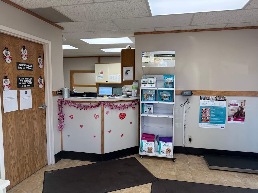Pet clinic in Saginaw MI