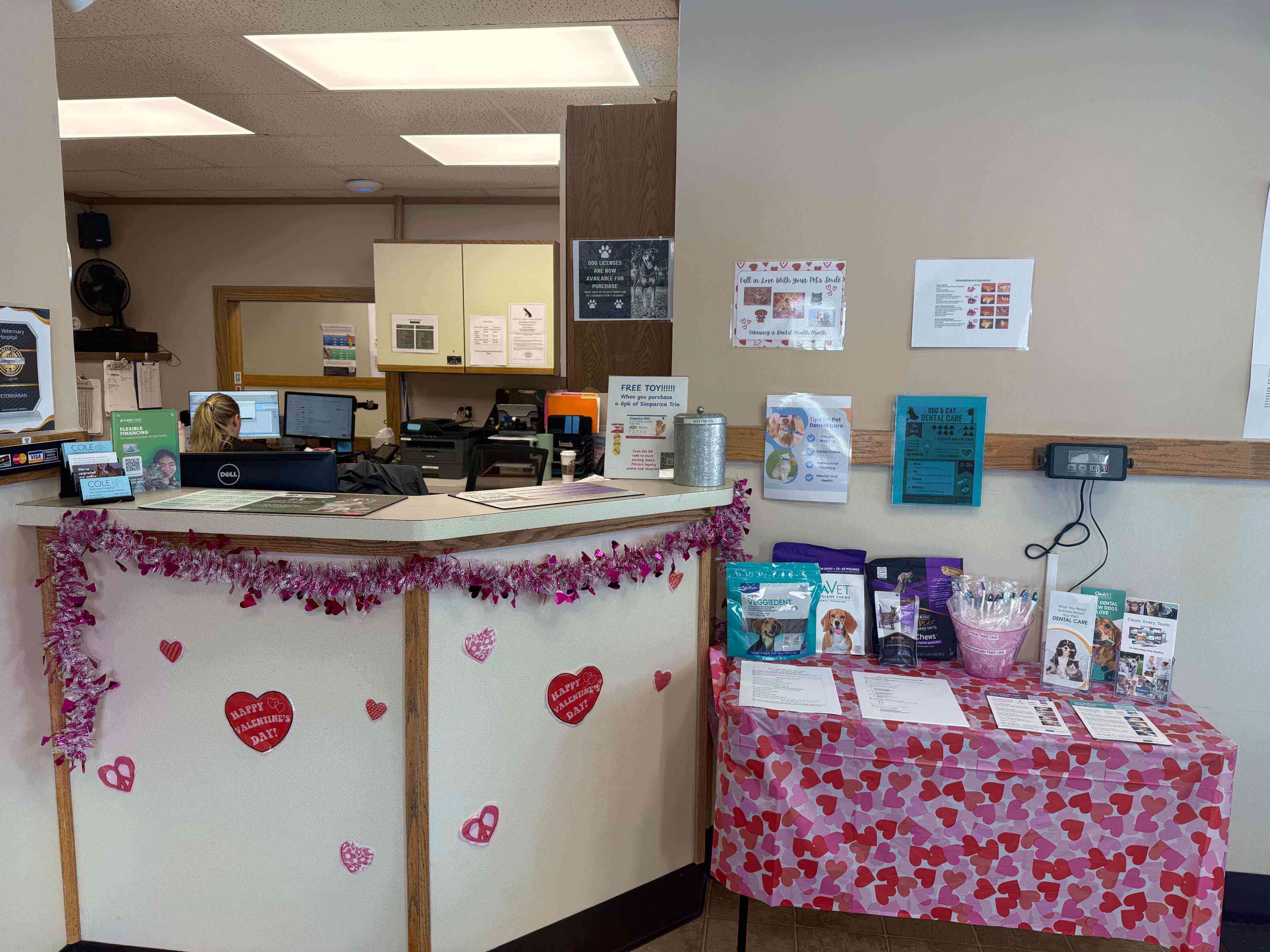 Vet Near Me in Saginaw, MI - Cole Veterinary Hospital