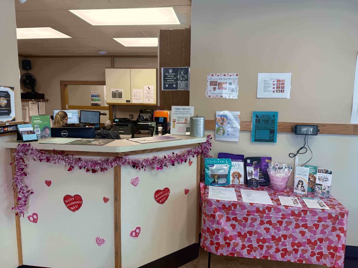 Pet clinic In Saginaw, MI