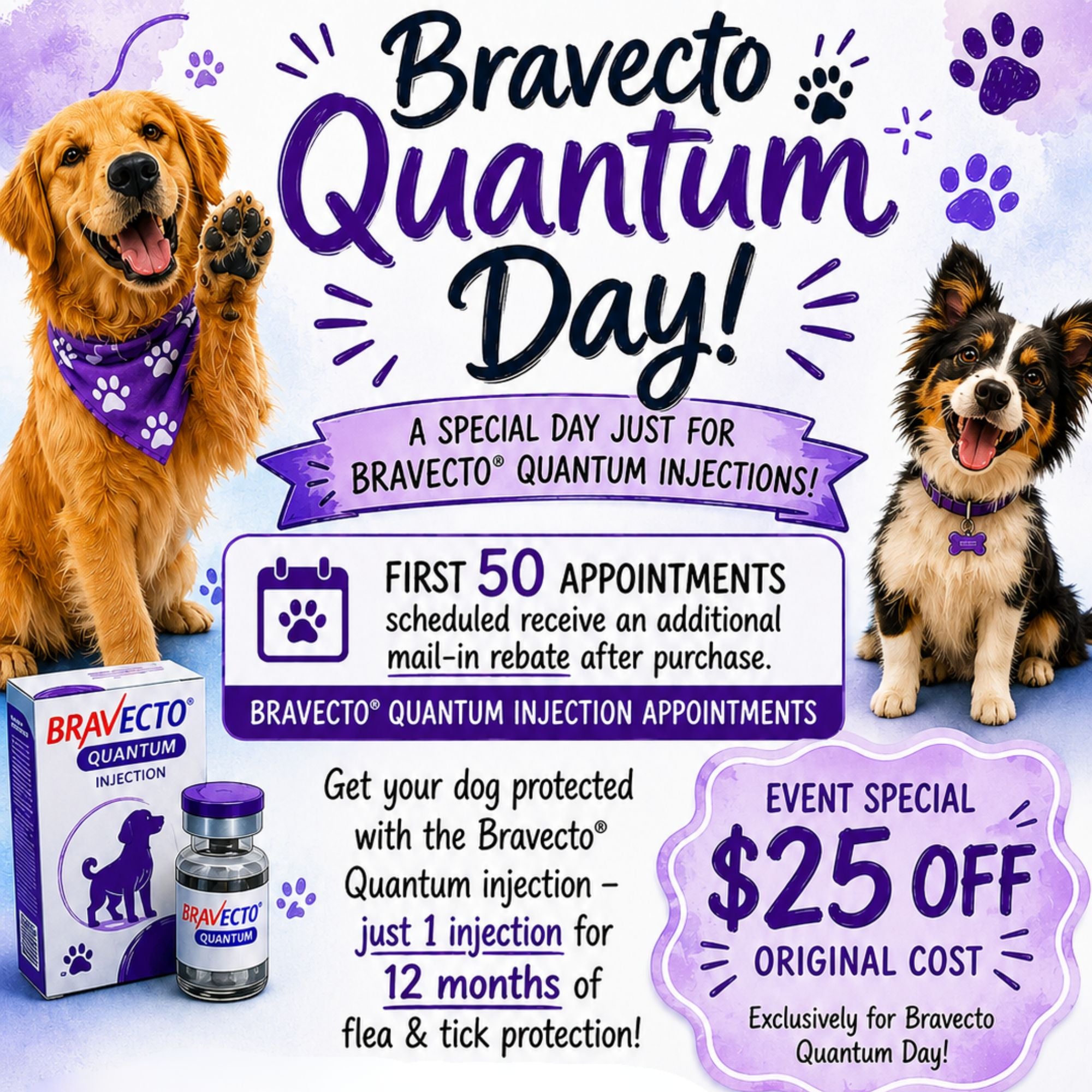 Bravecto Quantum Day!